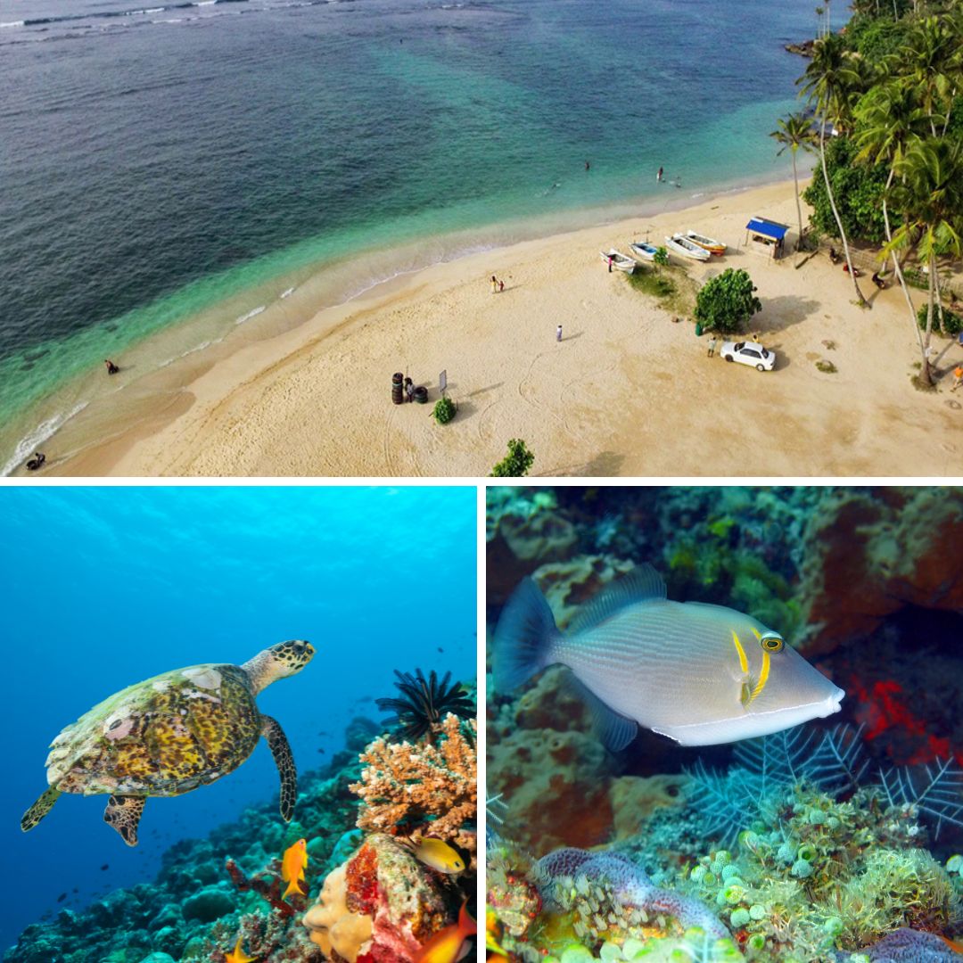 polhena beach